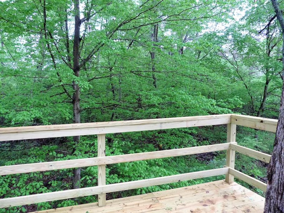 Luscious forest surrounds the observation deck