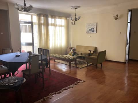 Centertown Apartment next to UNECA Kazanchis