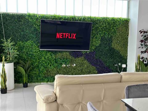 Spectacular temporary rental