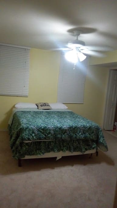 Private basement bedroom with spacious living room and private bathroom.