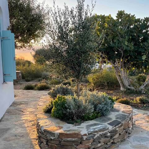 Eco-Luxe Retreat in Ano Petali, Sifnos gallery image 3
