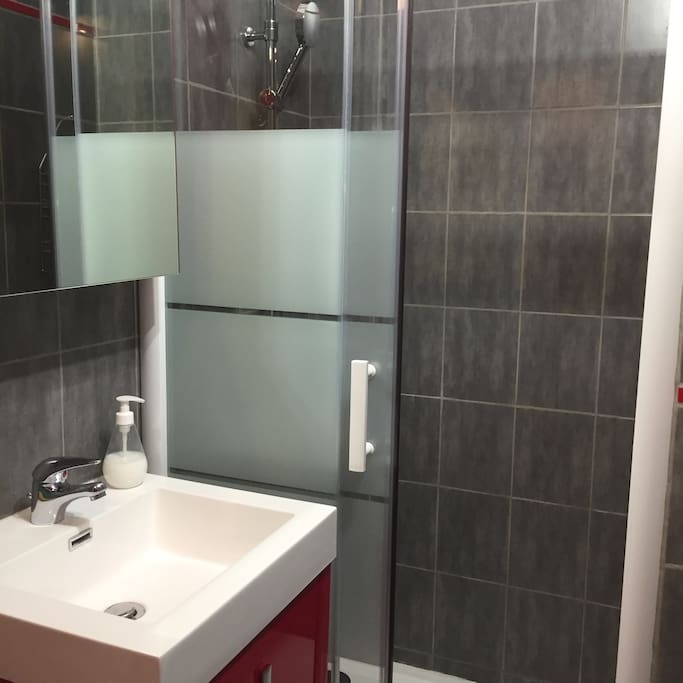 La salle d'eau avec douche 80/100