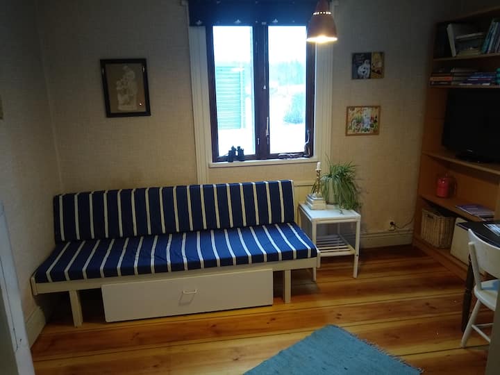 غرفة نوم منخفضة. يمكن سحب سرير الأريكة ليصبح سريرًا مزدوجًا