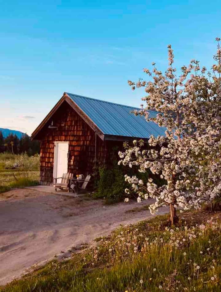 Tappen Holiday Rentals & Homes British Columbia, Canada Airbnb