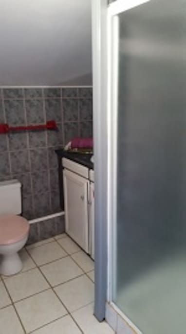 Salle de bain, Toilettes