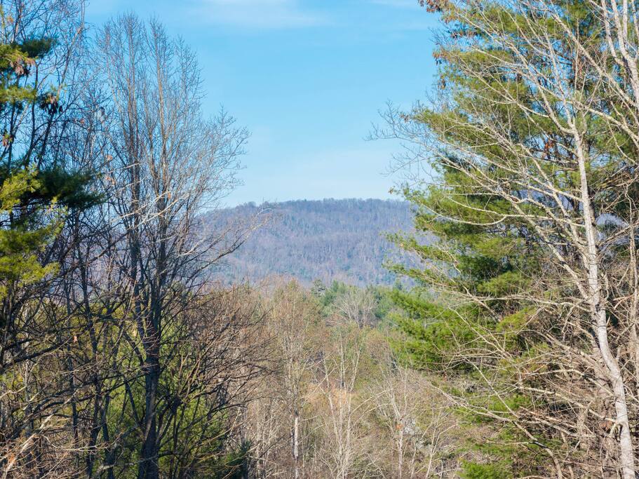 View from the front porch