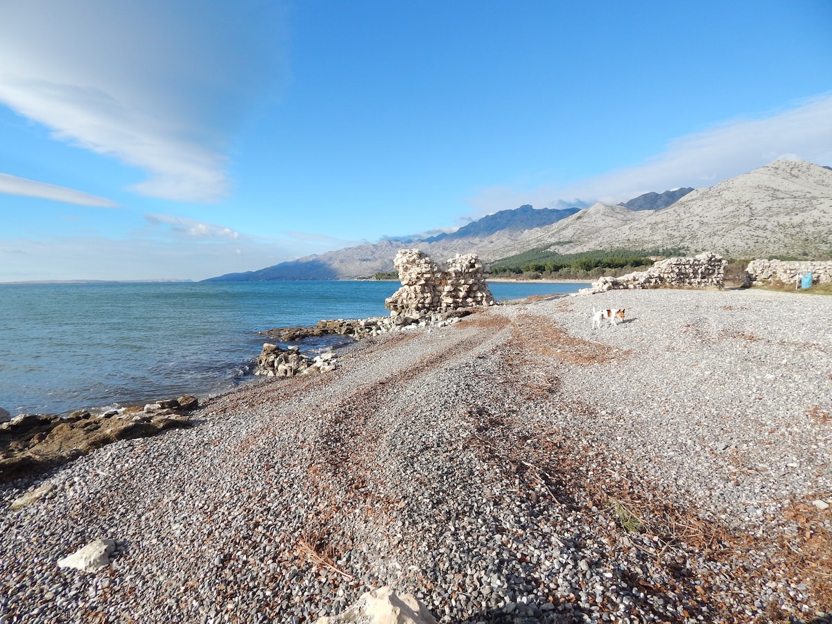 A rocky beach scene stretches along a calm shoreline, with smooth pebbles covering the ground. In the background, mountains rise, providing a scenic backdrop against a clear blue sky. The gentle waves can be seen lapping at the shore.