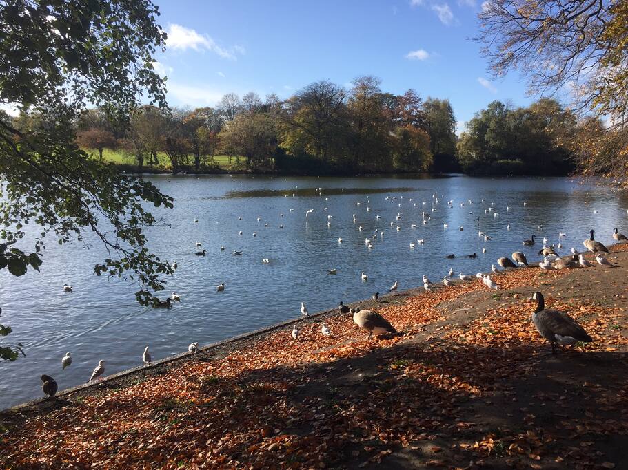 Stunning lake to walk around very close by