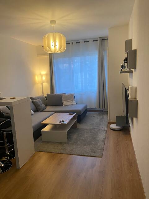 Fully furnished Cosy studio