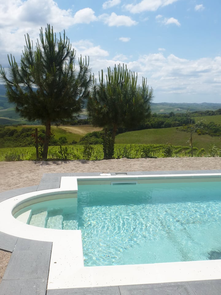 Secluded Luxury Studio & Vineyards Near Montalcino - Montalcino