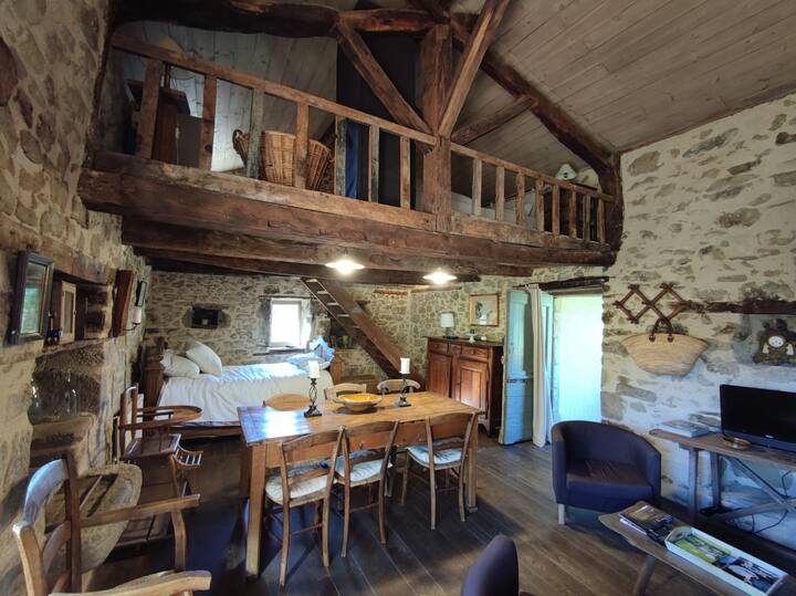 Pièce principale, petit lit en 120, mezzanine avec lit en 140.