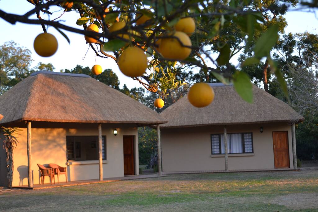 Valencia huts sets in the beautiful Chrislin gardens.