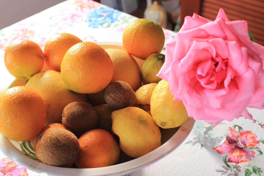 fresh fruits all over the year