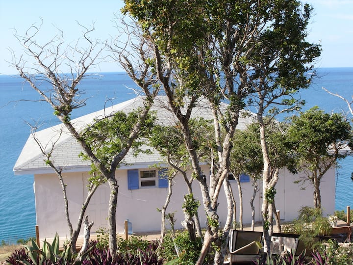 BAHAMAtude Ocean Jasper at Surfer's Beach Apartments for Rent in