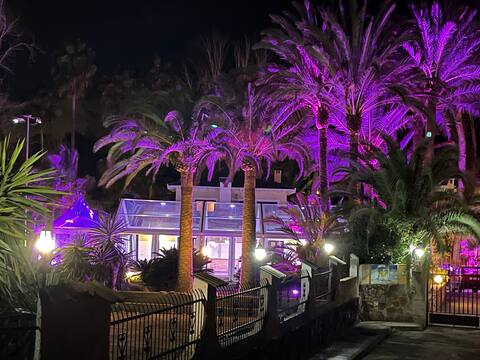New Year's Eve €4000 Valencia 30 people 644046284
