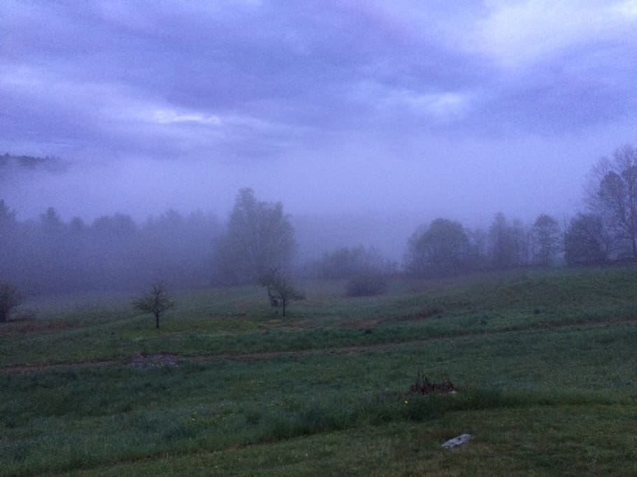 View of the meadows