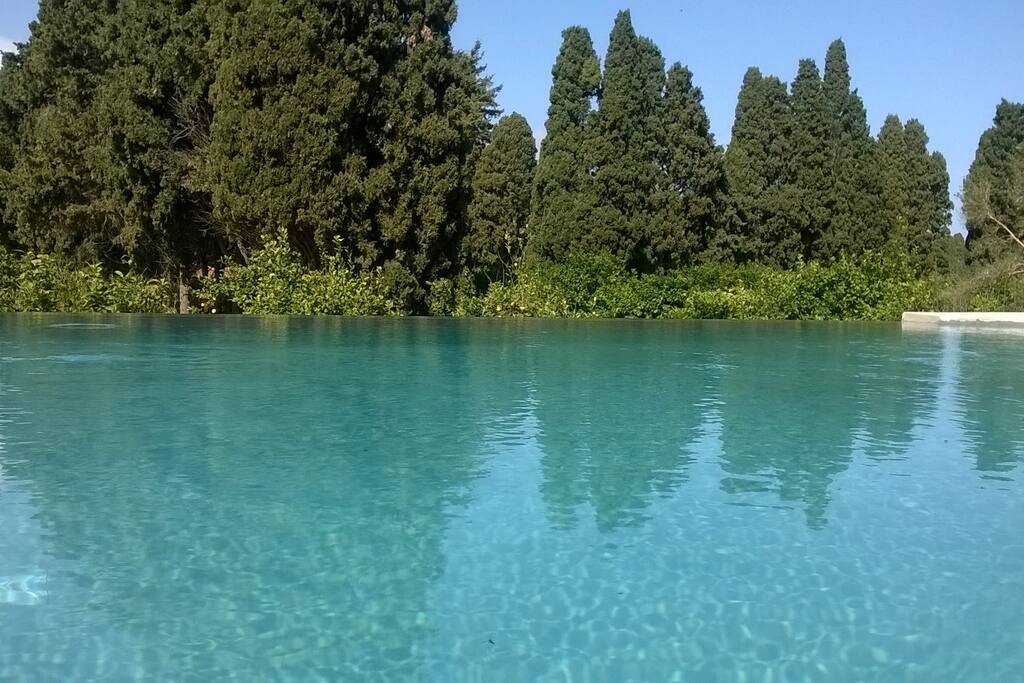 The pool