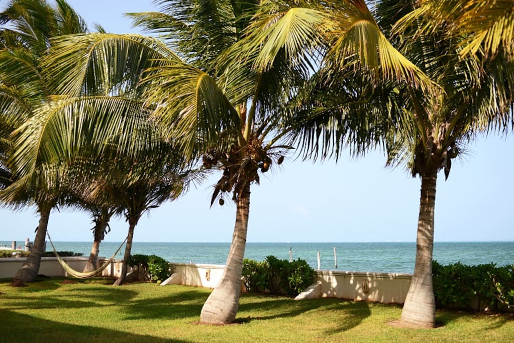 Oceanfront condo