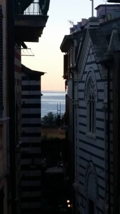 View from the terrace