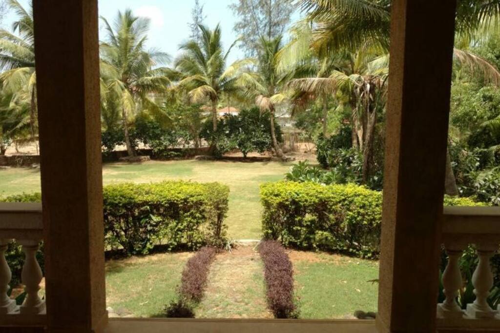 Front garden
