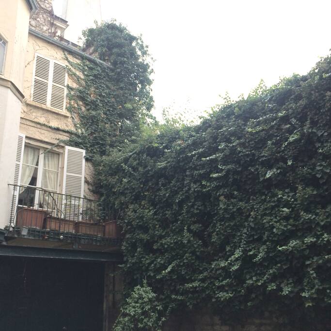 Verdant and private courtyard.
