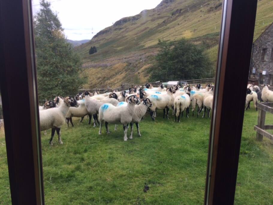 Some passers by