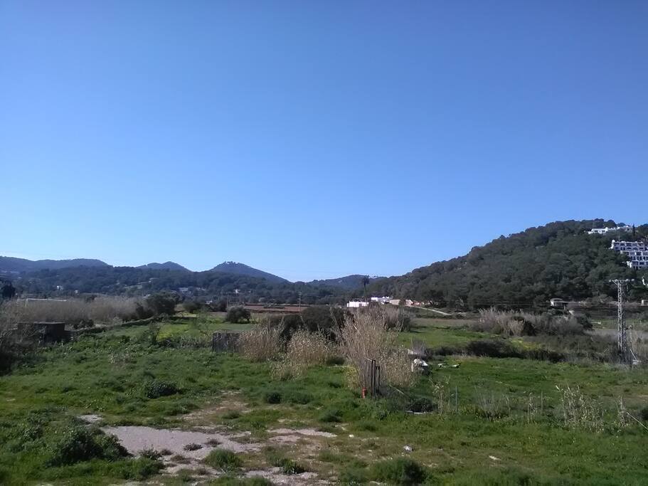 dalla finestra della stanza