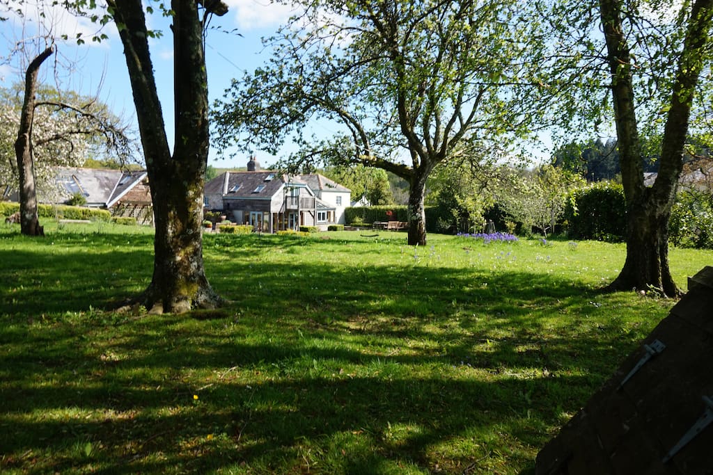 view from orchard towards house and garage