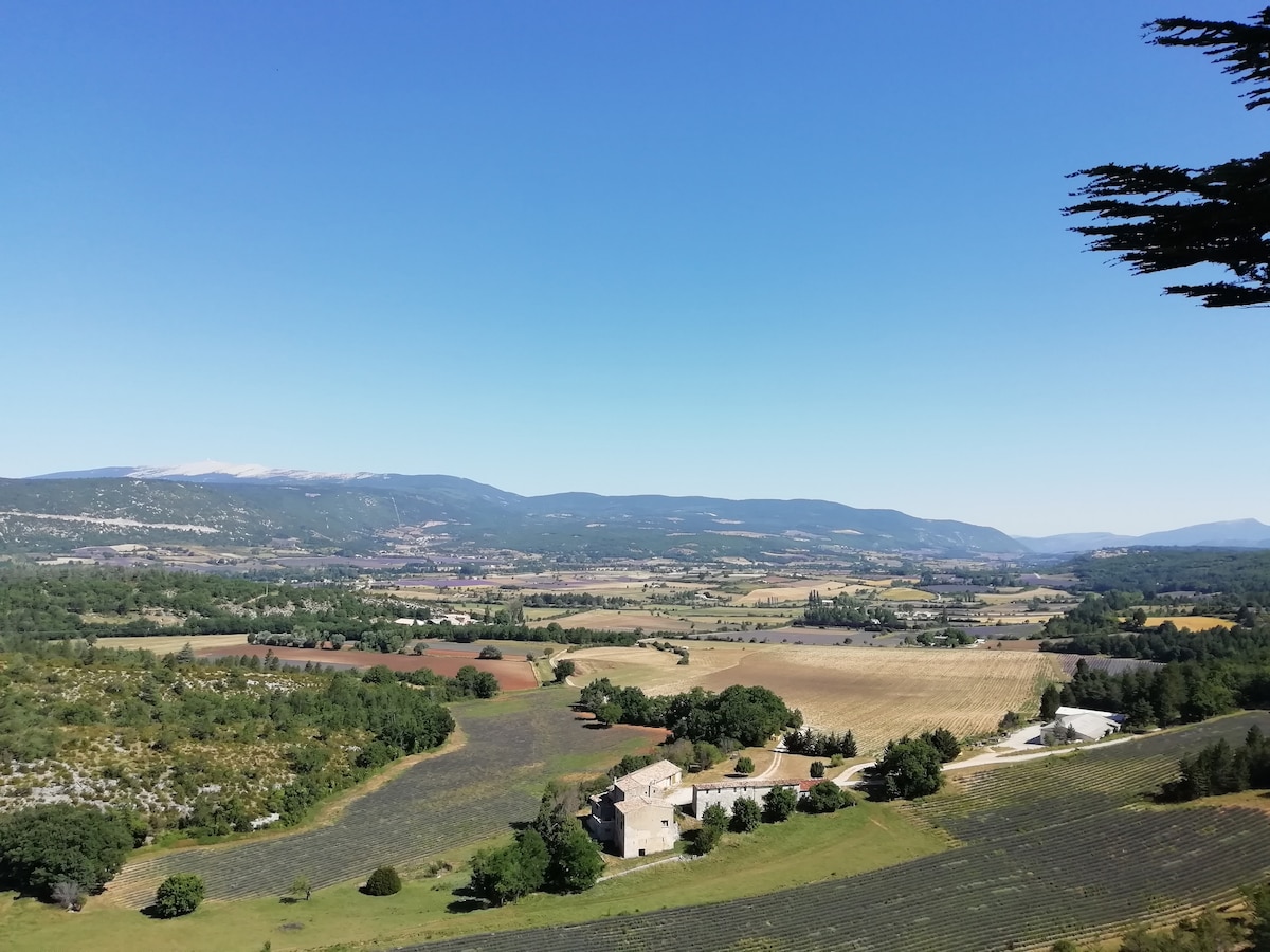 A panoramic view of the surrounding countryside is captured, featuring fields of lavender and rolling hills beneath a clear blue sky. The distant mountains provide a scenic backdrop to the land, with scattered farms and trees dotting the landscape.