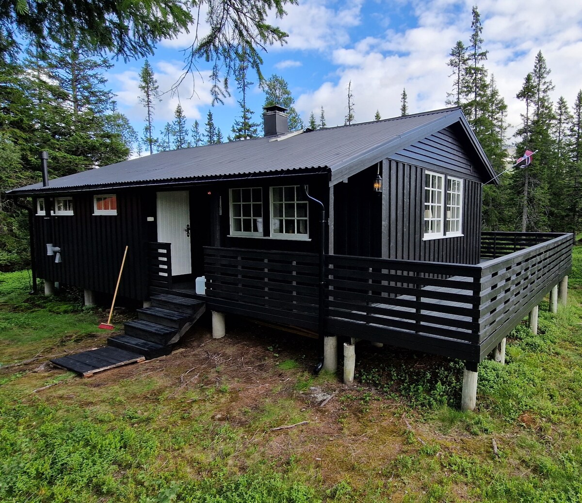 A charming black cabin is situated among green trees, featuring a sloped roof and a wraparound deck with a sturdy railing. Steps lead up to the entrance, which is complemented by multiple windows that provide natural light to the interior.