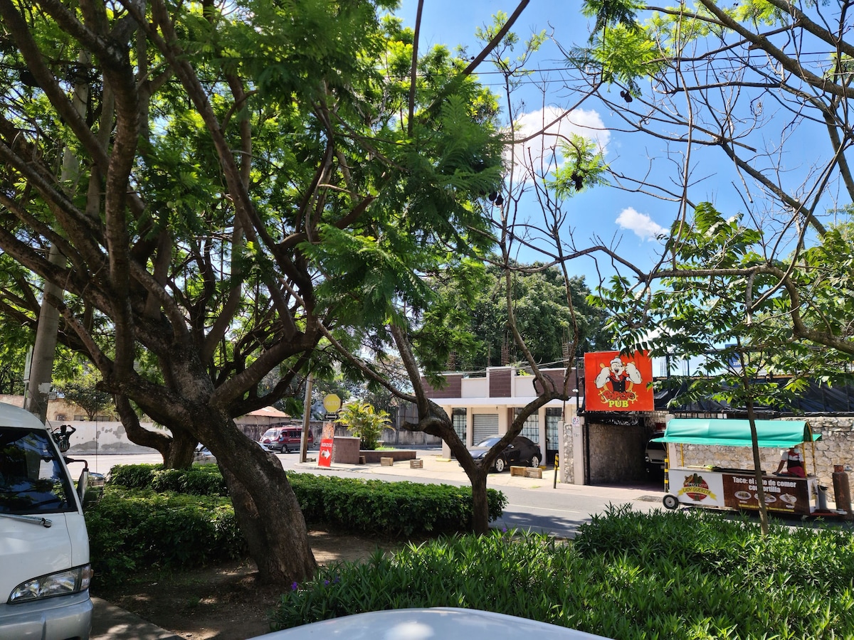 A vibrant street scene is visible, featuring large trees providing shade. Nearby, a food stall is marked with a colorful sign. Structures can be seen in the background, while a clear blue sky and scattered clouds enhance the atmosphere.