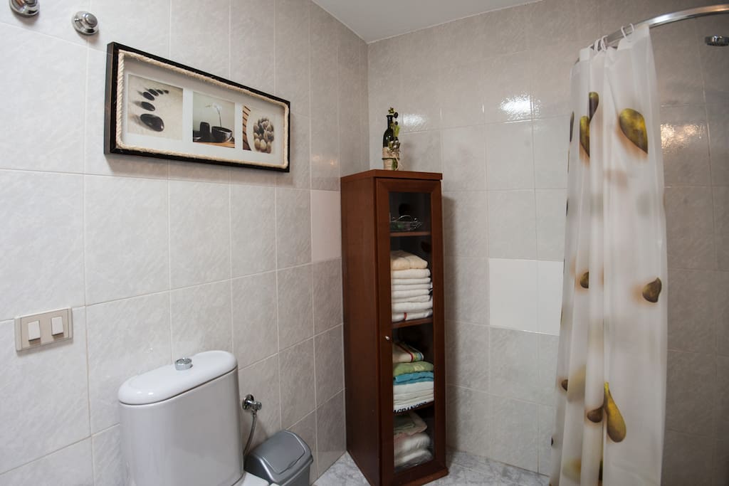 Baño del dormitorio principal con ducha