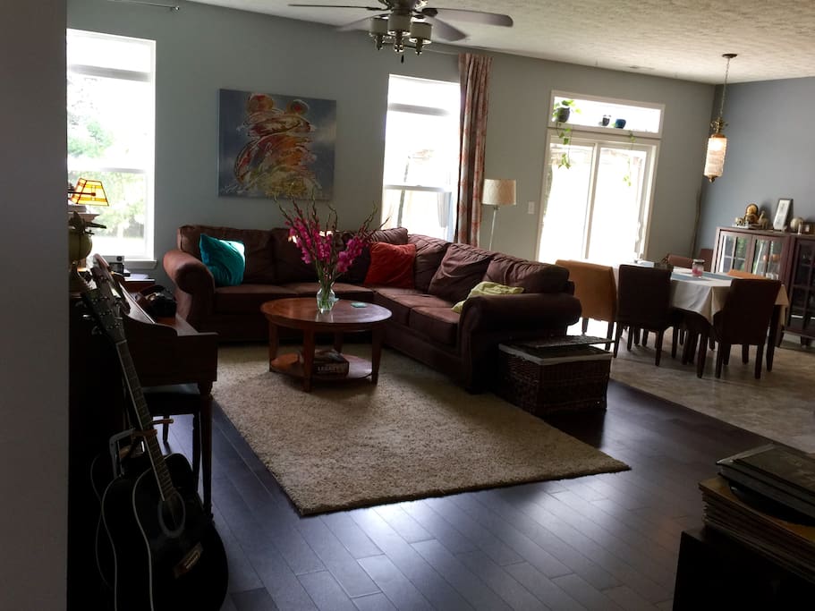 {Common Area}
We have a projector home theater set up. A piano. Guitars and basses. Plants. Books. Board games. Video games.