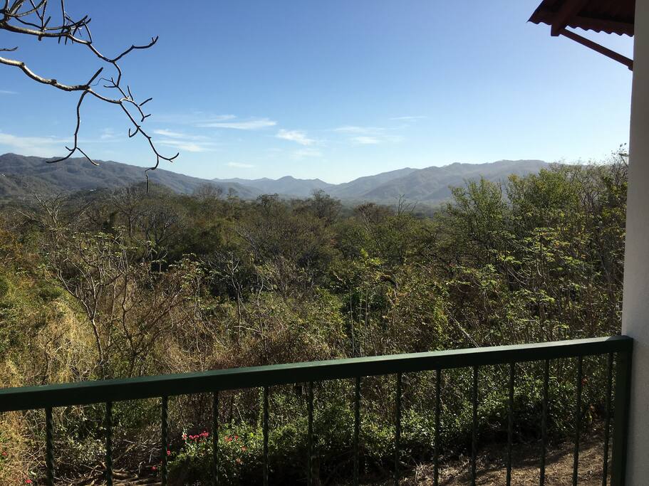 Jungle and mountain view from the patio.