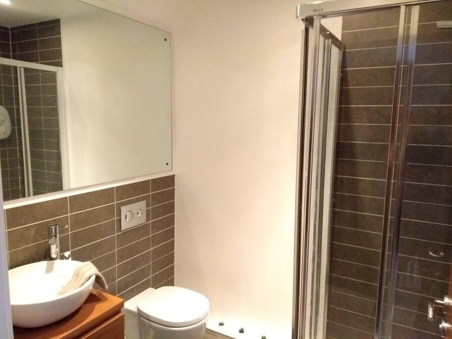 Ensuite Shower Room