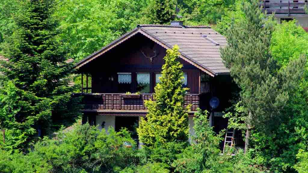 A charming wooden chalet is surrounded by lush greenery and tall trees. The two-story structure features a balcony adorned with railings, providing a view of the natural landscape. A ladder leans against the side, indicating accessibility for maintenance.