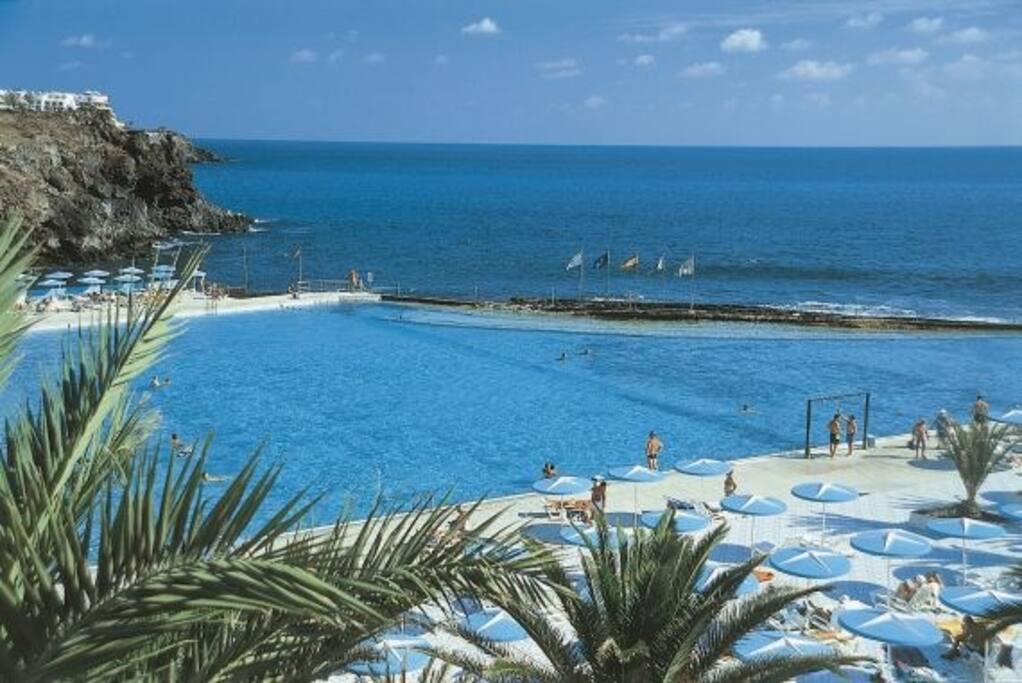 Fantastic seaview apartment 1 line - Apartments for Rent 