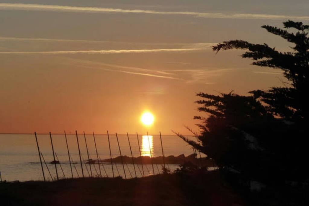 LEVER DE SOLEIL AU PETIT MATIN