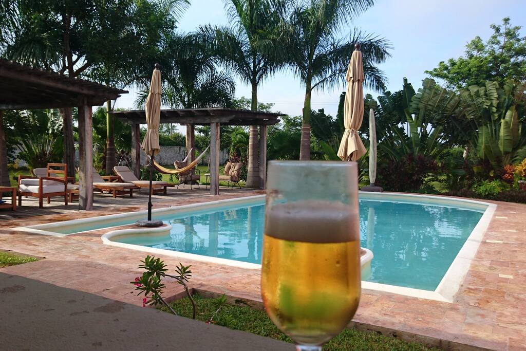 palmeras reales y vegetacion tropical