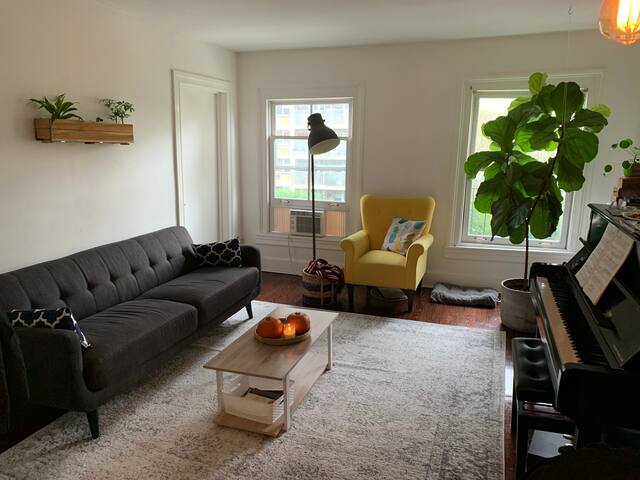 Trendy apartment next to all major subways