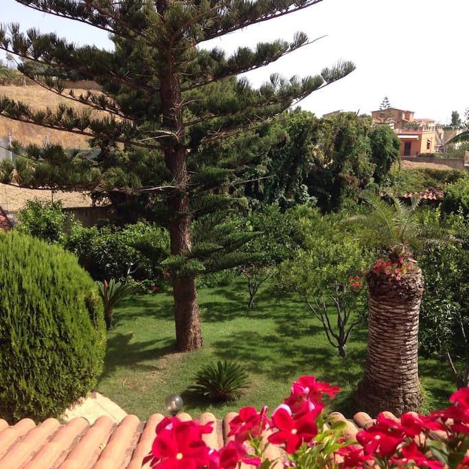 GIARDINO