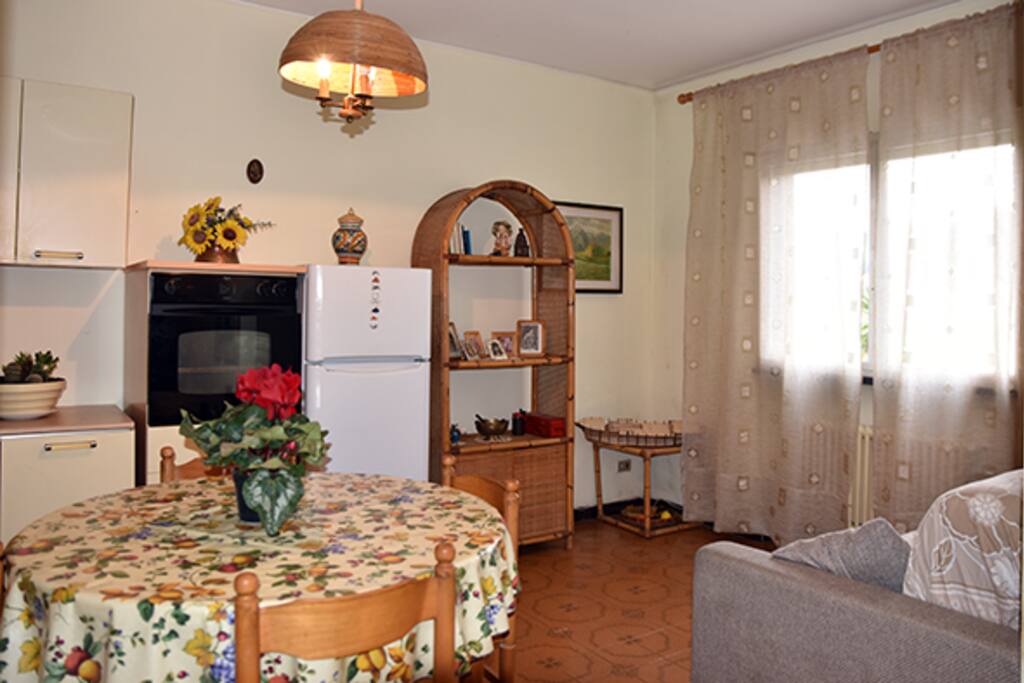 Spacious living room with sofa-bed for 2 people.