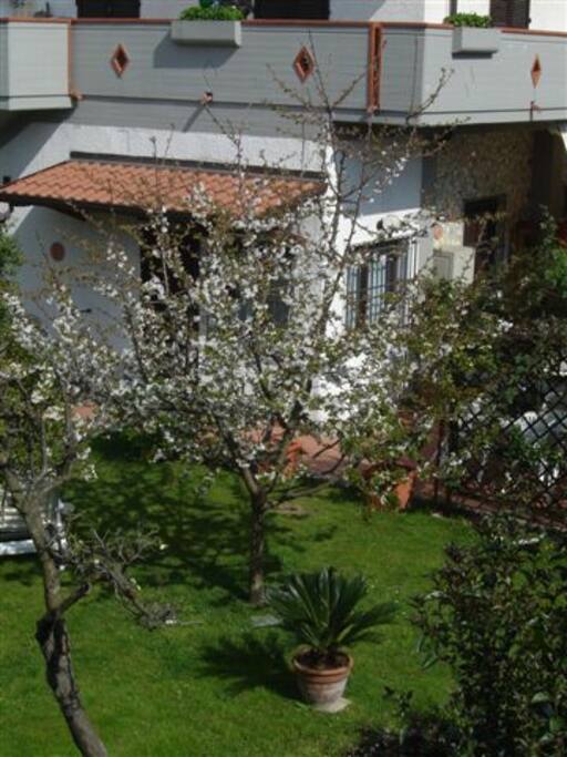 casa con giardino