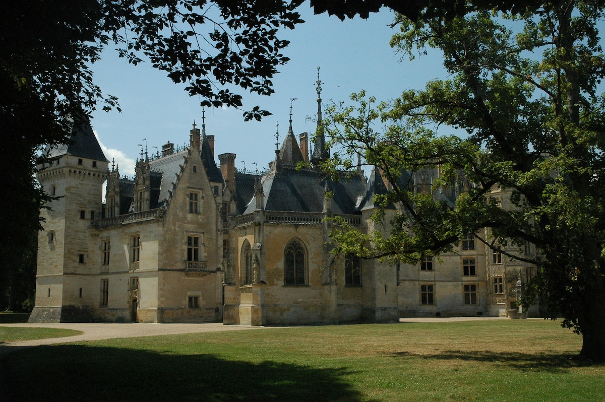 The historic castle is surrounded by lush greenery, featuring intricate architectural details and tall spires. The sun casts soft shadows across the stone facade, revealing large windows and decorative elements. An expansive lawn invites exploration, enhancing the serene outdoor setting.