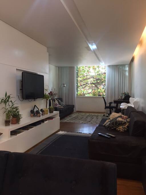 Sala de televisão com nossa castanheira ao fundo