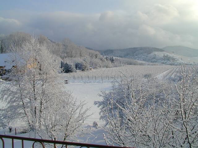 Living at the winery Liebich