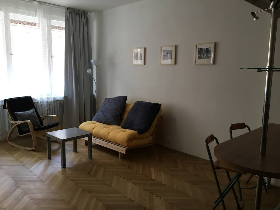 The living room (sofa bed)