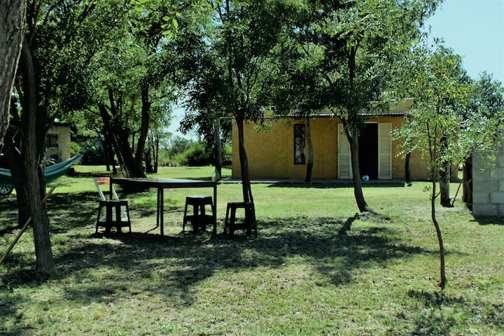 Get La decoracio de lbany costanera For Android La Decoracio De Lbany Costanera