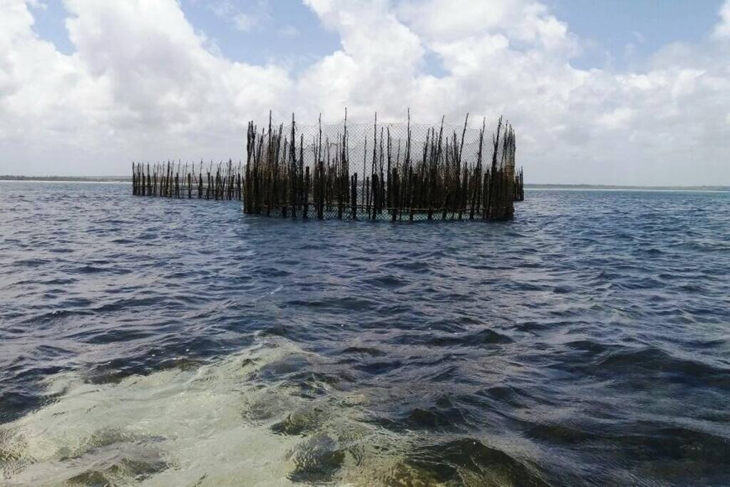 Currais de Pesca