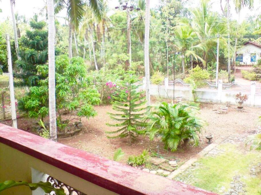 View from balcony